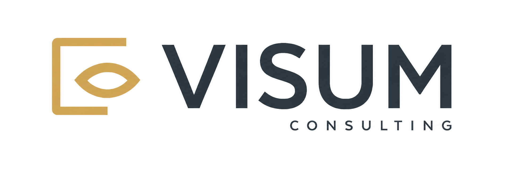 VISUM Corporativo